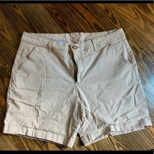 Chubbies 7” shorts